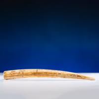 John Octuck (Inuit, 1873-1918) Scrimshawed Cribbage Board
