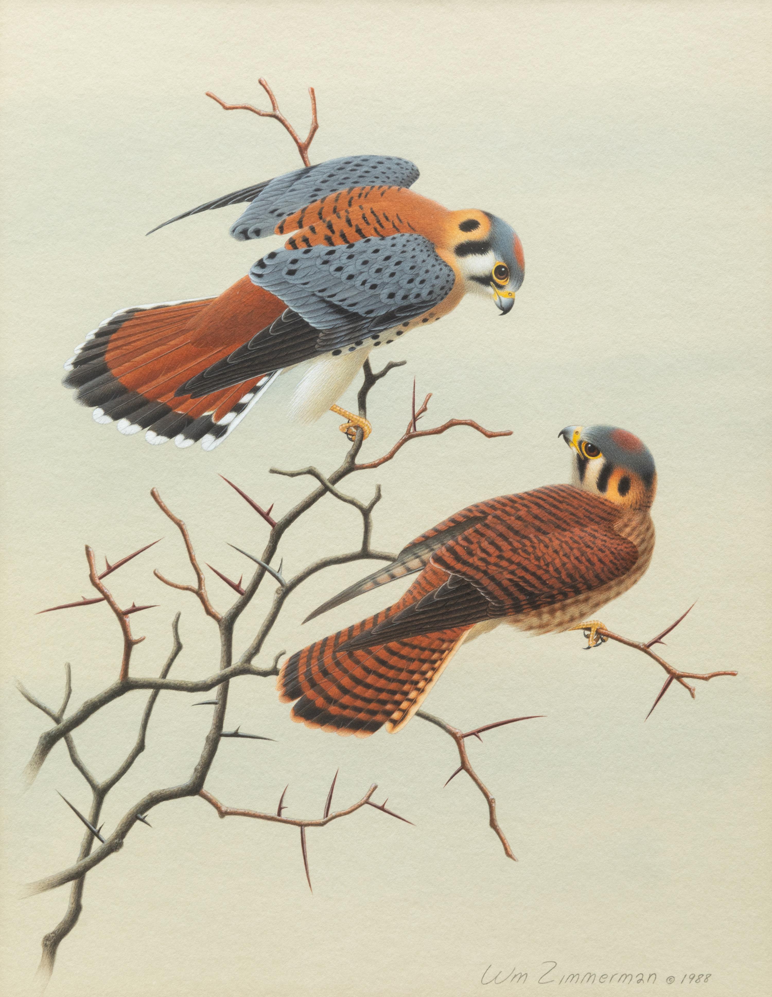 Group of Nine Works, American Bird Series, 1988