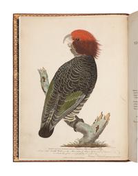[TRAVEL & EXPLORATION]. GRANT, James, Lieut. (1772-1833). The Narrative of a Voyage of Discovery, performed in His Majesty's Vessel The Lady Nelson. .. London: C. Roworth for T. Egerton, 1803.