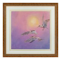 Terns and Hazy Sun , 2007
