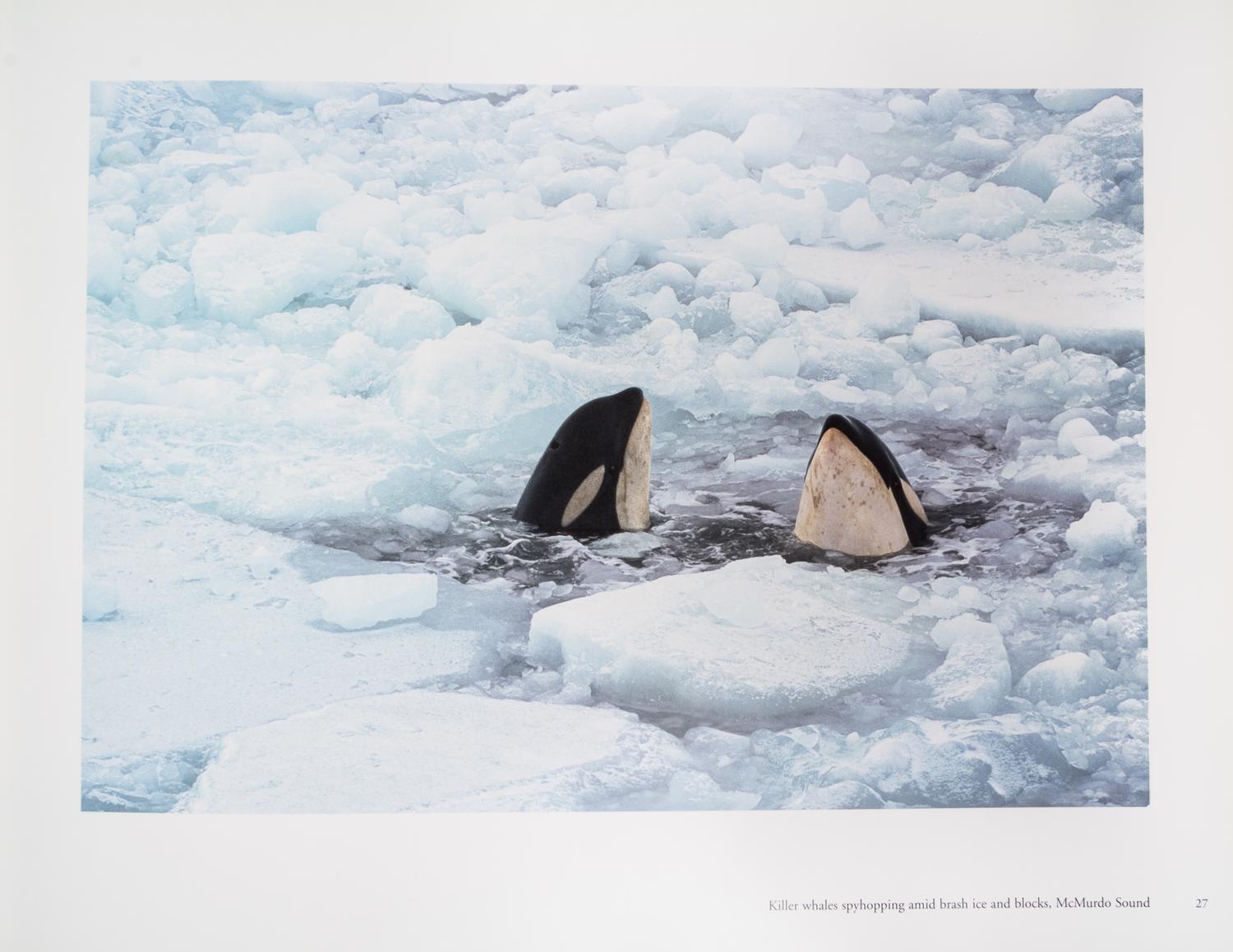 KEOUGH, PAT AND ROSEMARIE. Antarctica. BC, 2002. Limited, signed.