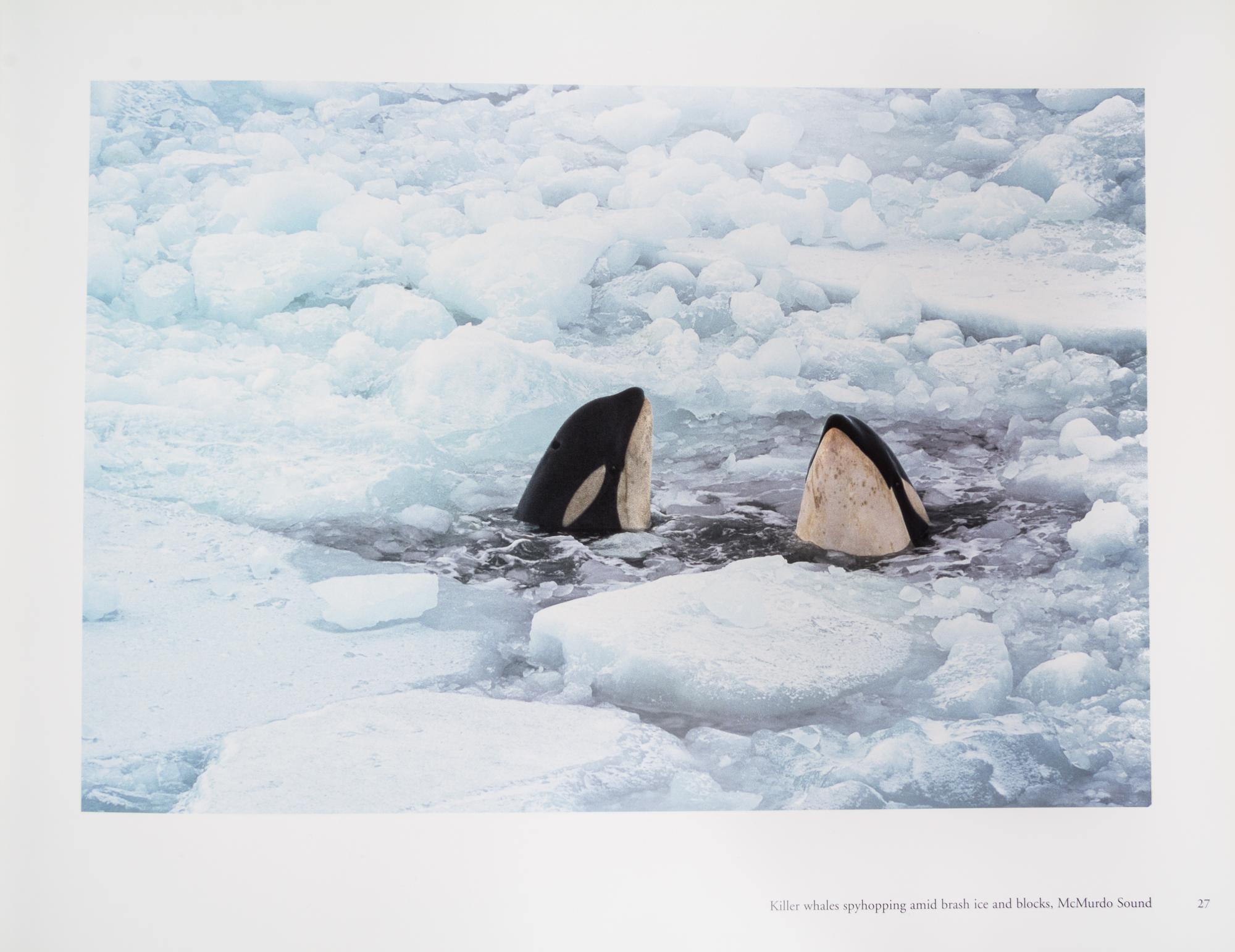 KEOUGH, PAT AND ROSEMARIE. Antarctica. BC, 2002. Limited, signed.