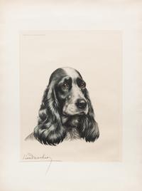 Eight Prints depicting English Cocker Spaniels Largest: 23 1/4 x 41 inches.