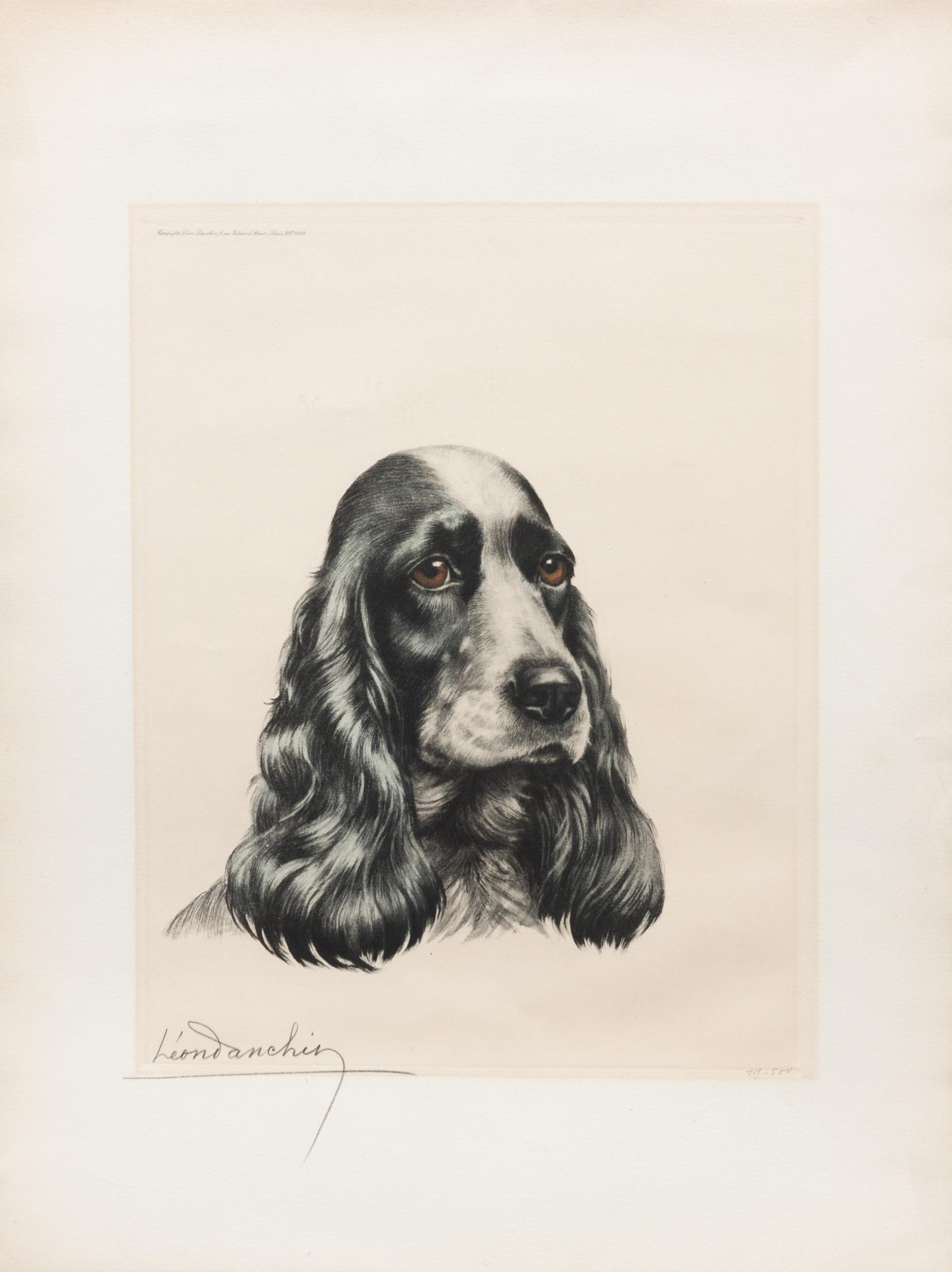 Eight Prints depicting English Cocker Spaniels Largest: 23 1/4 x 41 inches.