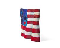 American Flag, 1991