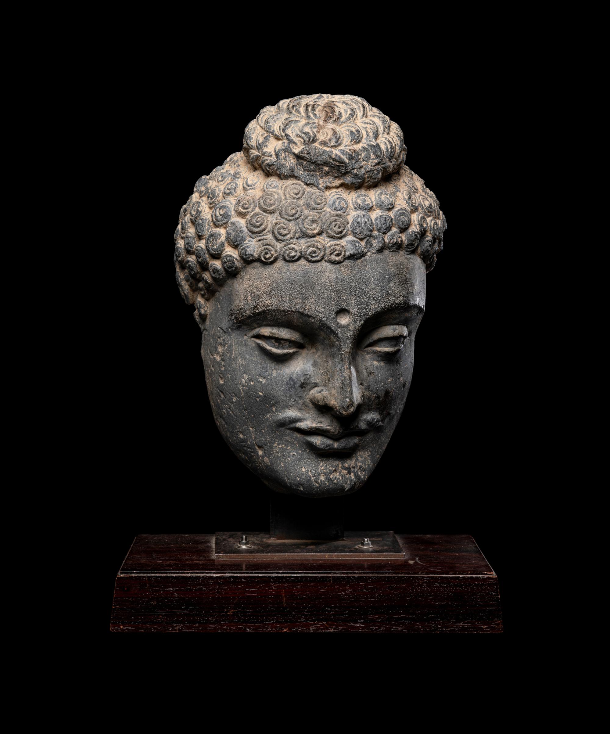 A Gandharan Grey Schist Buddha Head