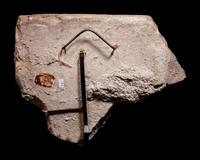 An Etruscan Painted Terracotta Relief Fragment