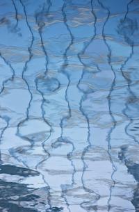 Artist Unknown, 20th Century — Reflection Tapestry, 2008