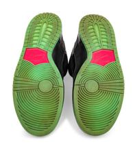 Premier X Dunk Low Premium SB AE QS Northern Lights