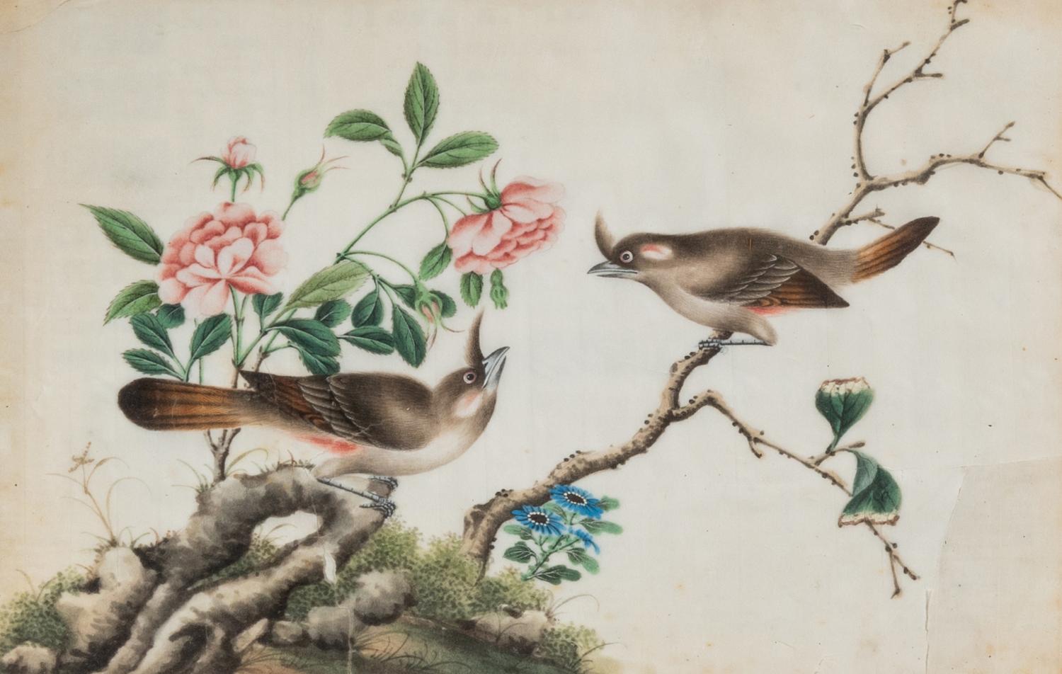 Six Chinese Export Pith Paintings
