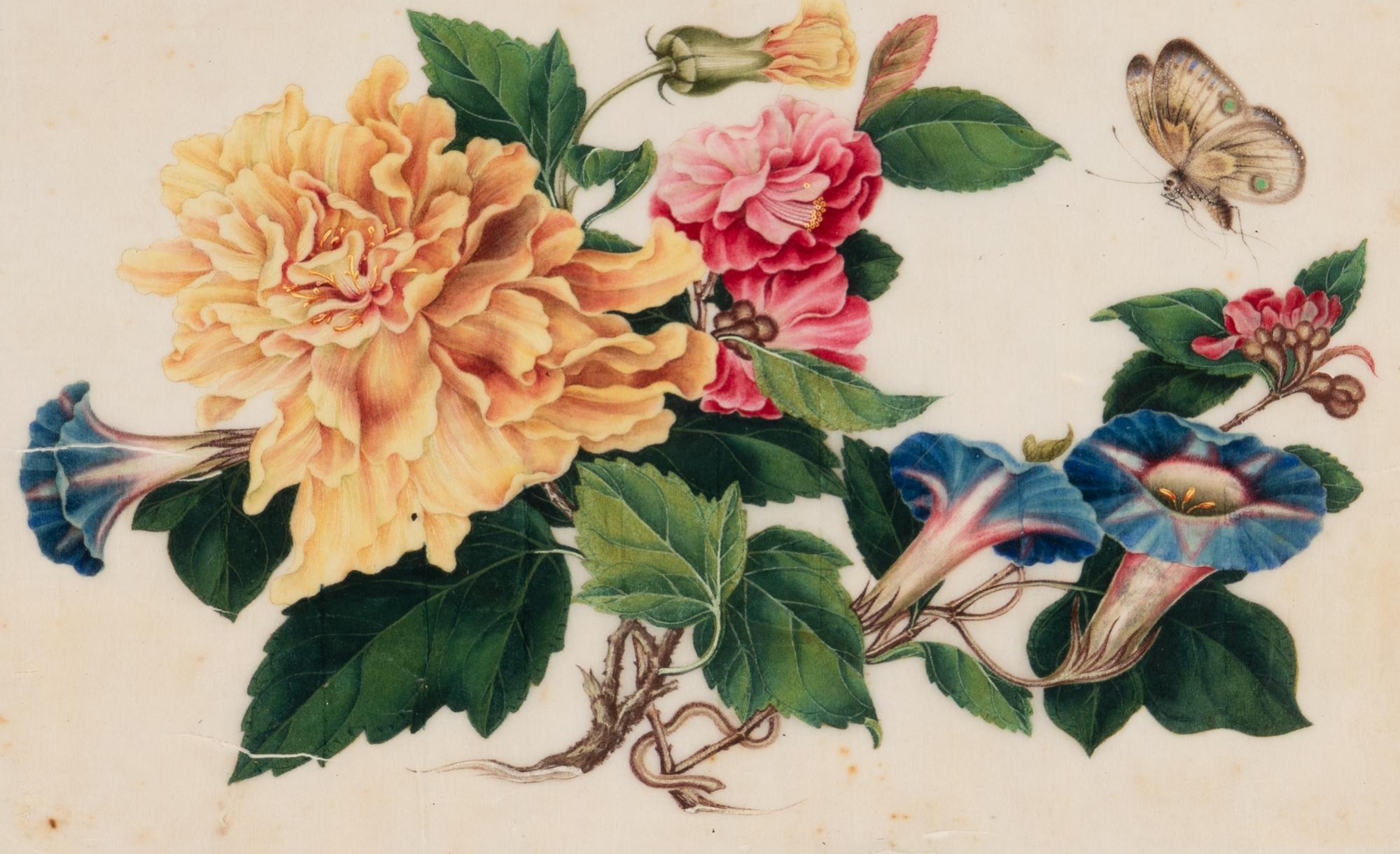 A Set of Twelve Chinese Export Watercolor and Pith Botanical Paintings