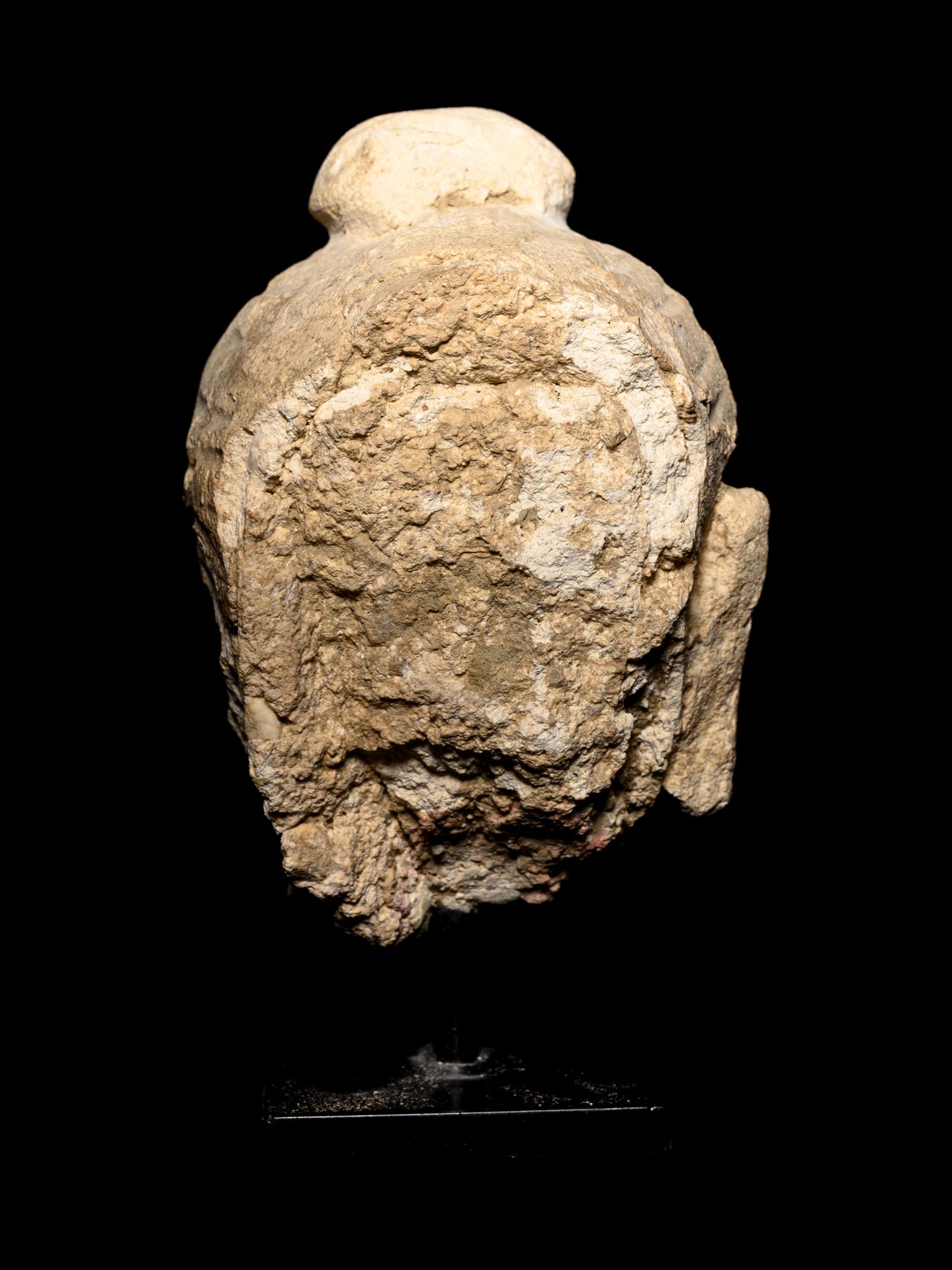 Three Gandharan Fragmentary Stucco Heads and One European Fragmentary Stucco Head