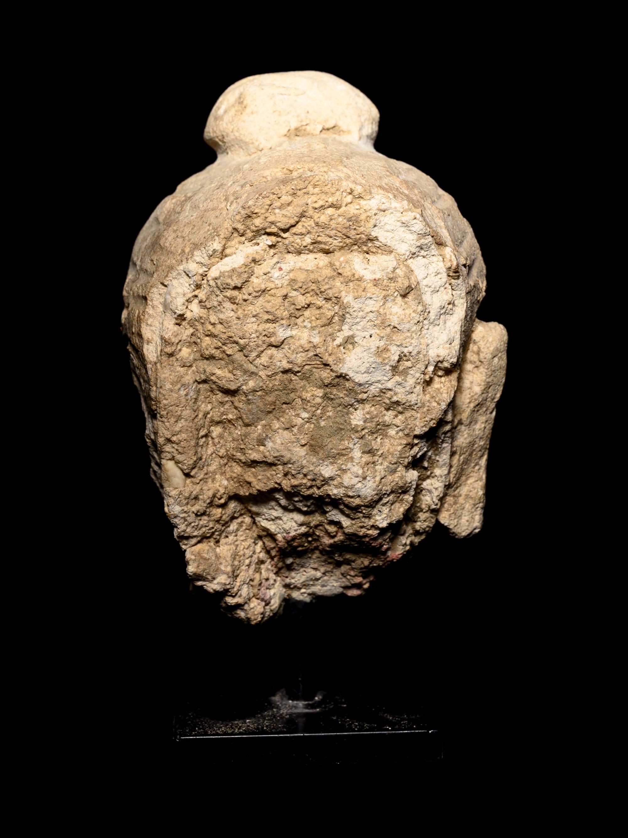 Three Gandharan Fragmentary Stucco Heads and One European Fragmentary Stucco Head