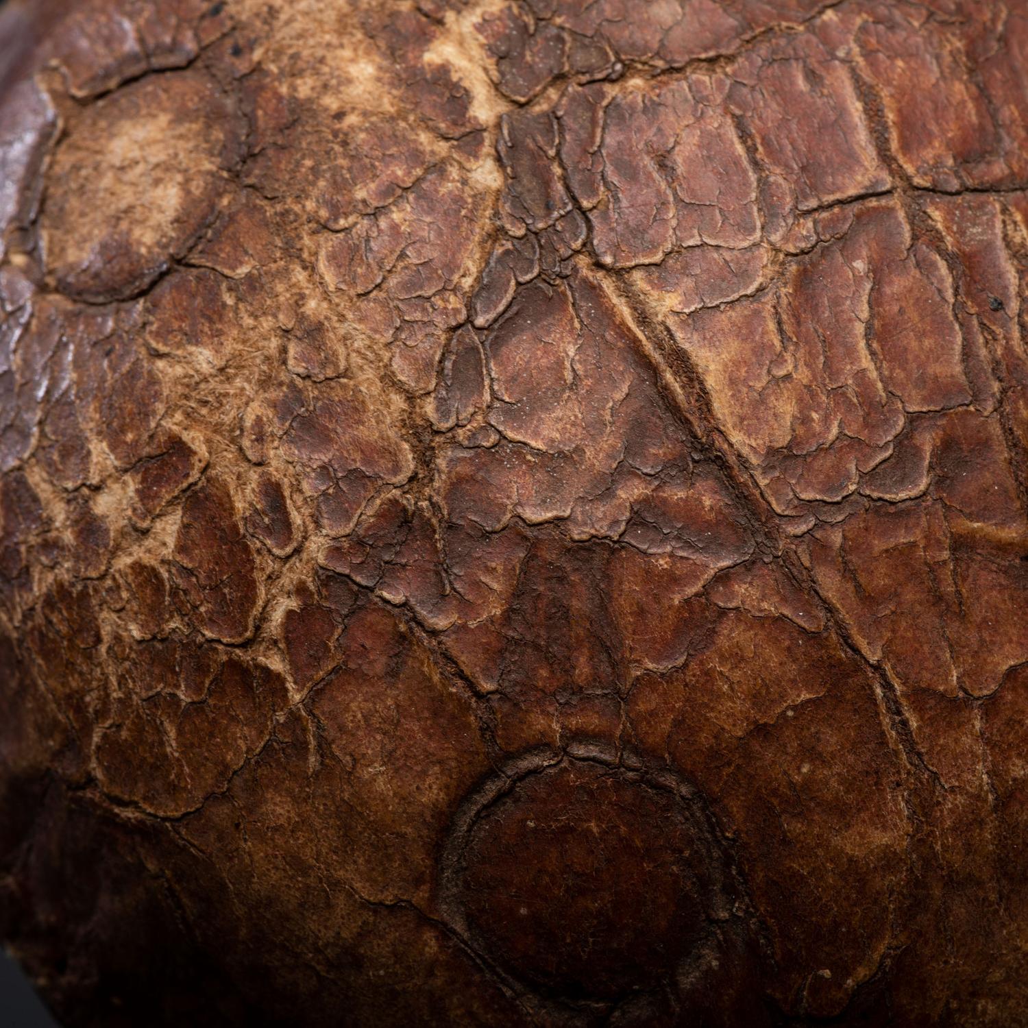 Apsáalooke Hide Rattle, From the Collection of Dick Jemison, Alabama