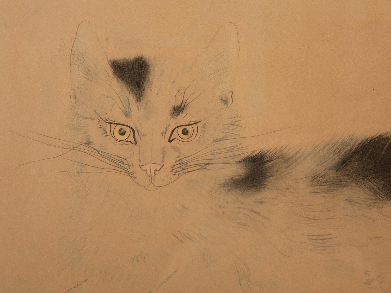 Chat Couché (from Les Chats ) [Buisson, C30.136.G] — Circa 1930