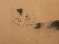 Chat Couché (from Les Chats ) [Buisson, C30.136.G] — Circa 1930