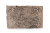 A Carved Pottery Architectural Tile