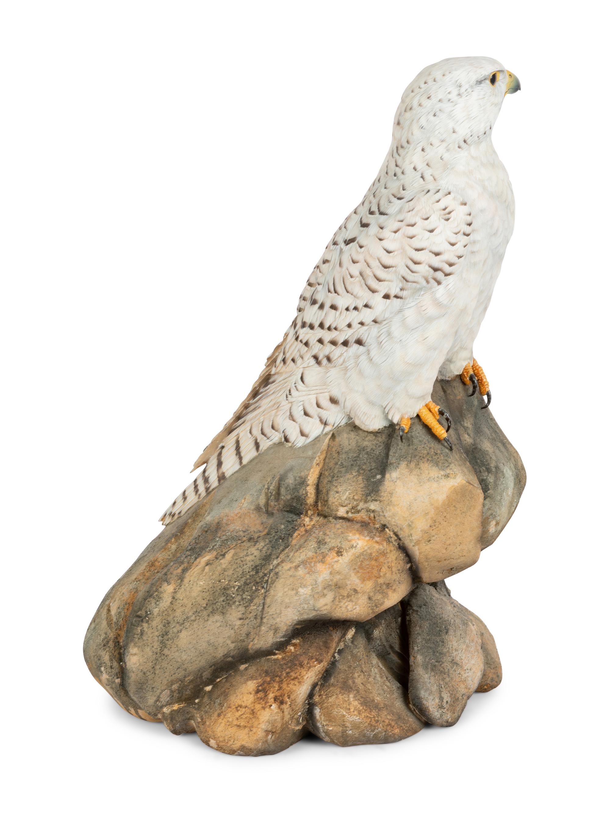 Dignity - Icelandic Gyrfalcon