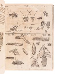 FRISCH, Johann Leonhard (1666-1743). Beschreibung von allerley Insecten in Teutsch-Land . Berlin: Christoph Gottleib, 1721-1738.