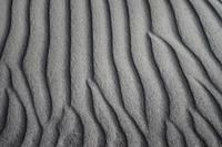 Sand Dunes, Oceano, California