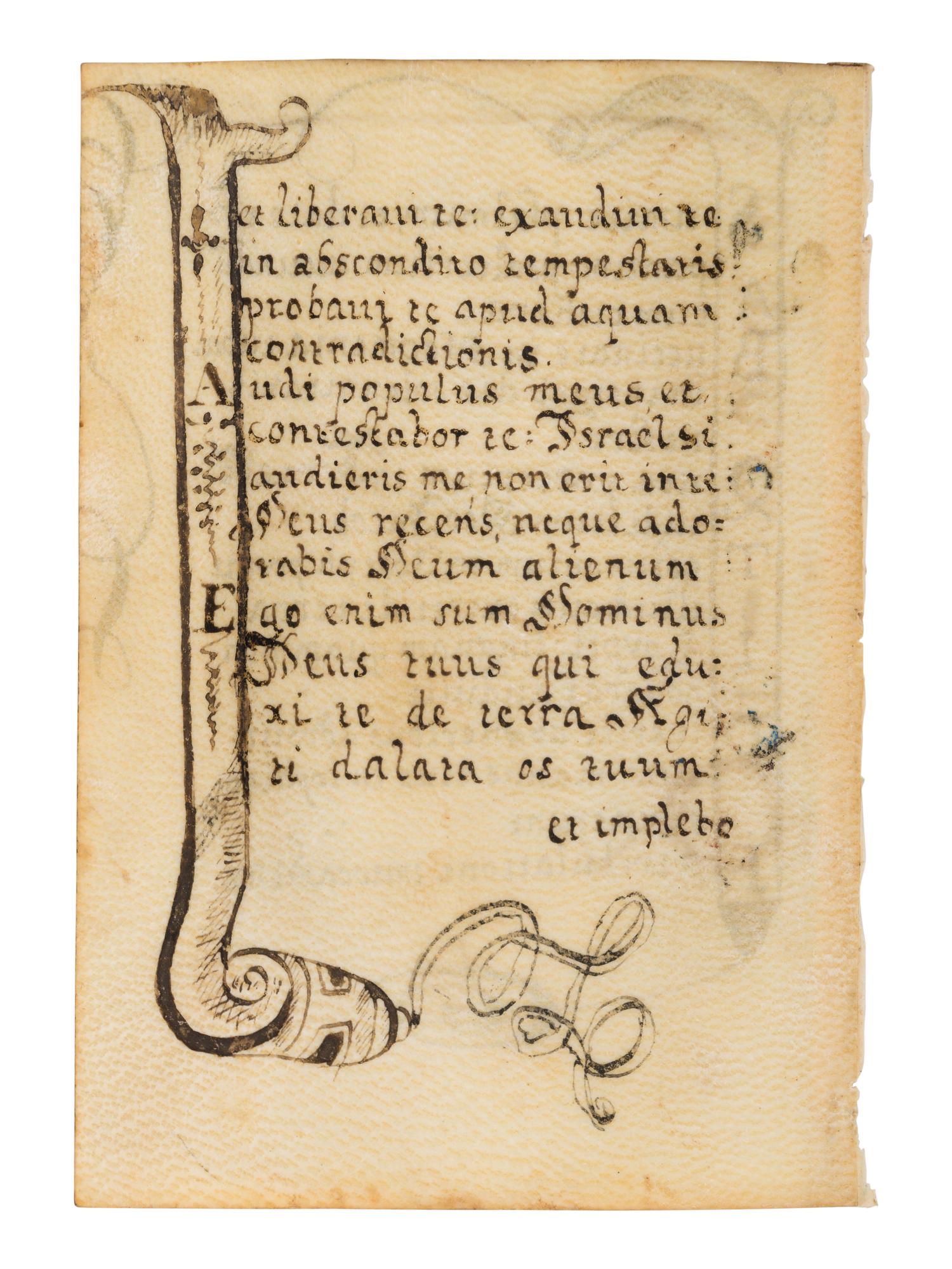 A collection of leaves from Psalter manuscripts, illuminated in Flanders in the first half of the thirteenth century, joined with a group of seventeenth- or eighteenth-century Psalter leaves drawn according to similar models