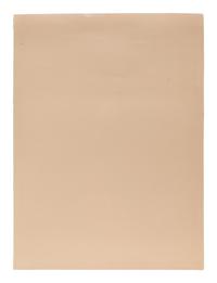 Buckskin Indian , edition 19/75