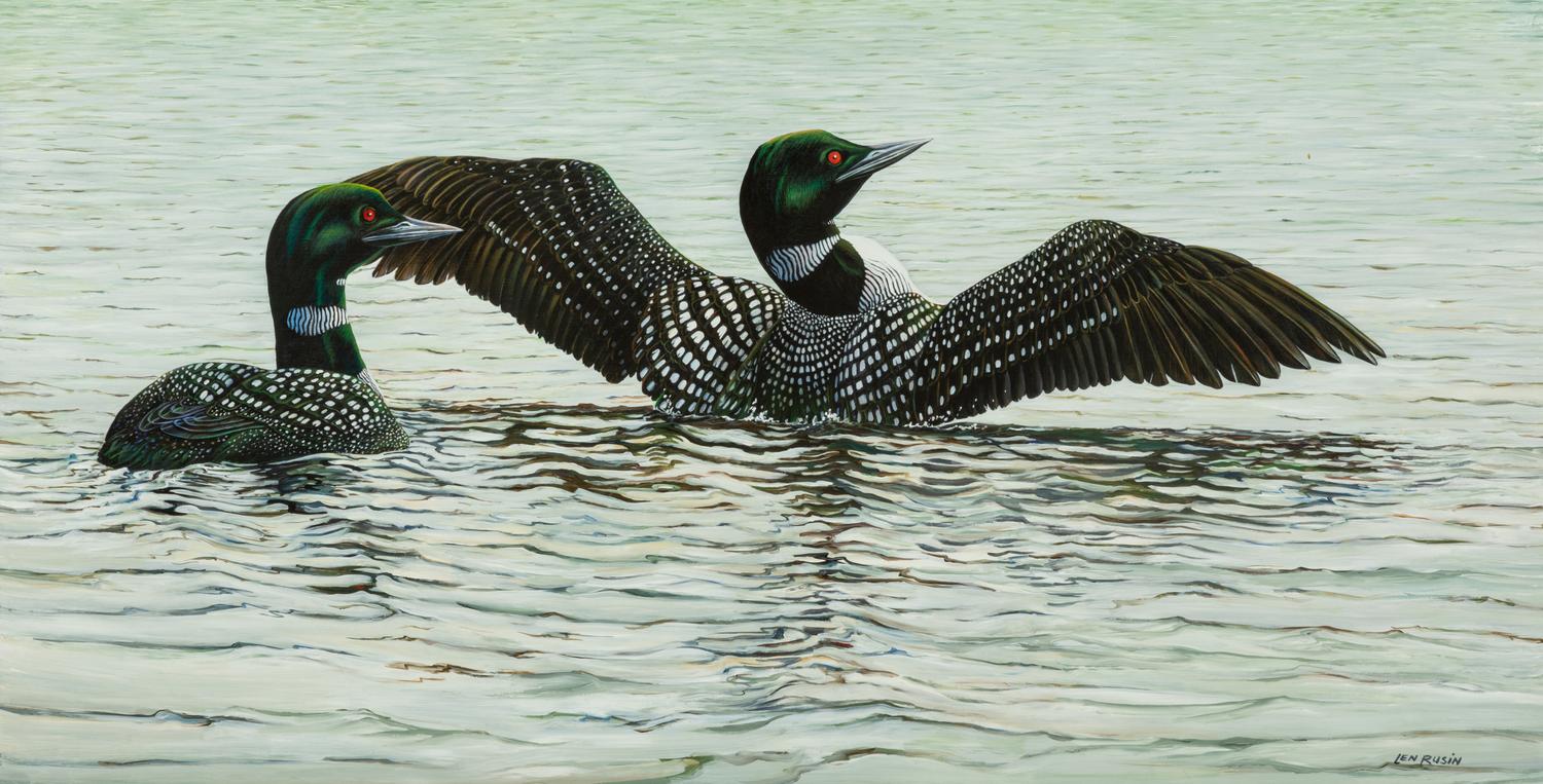 Stretching Loons , 2004