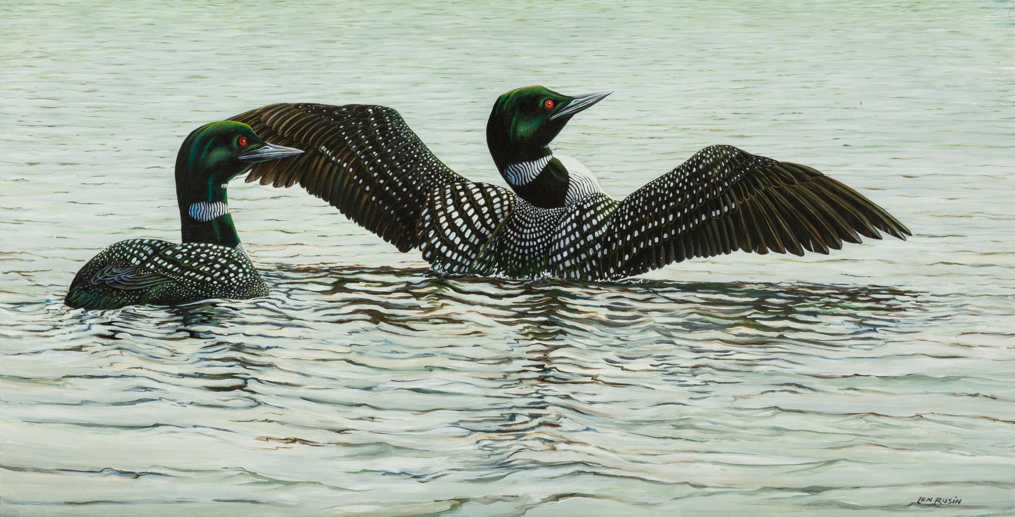 Stretching Loons , 2004