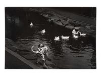 A pair of works depicting a dalmation with a swan and ducks, 1958-65; printed ca. 1958-65
