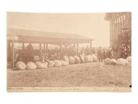 Fairs & Expositions TIFFANY, Louis C. (1848-1933), photographer. Premium Squashes - Fair 1886 S.B. [Sea Bright, NJ], [1886].