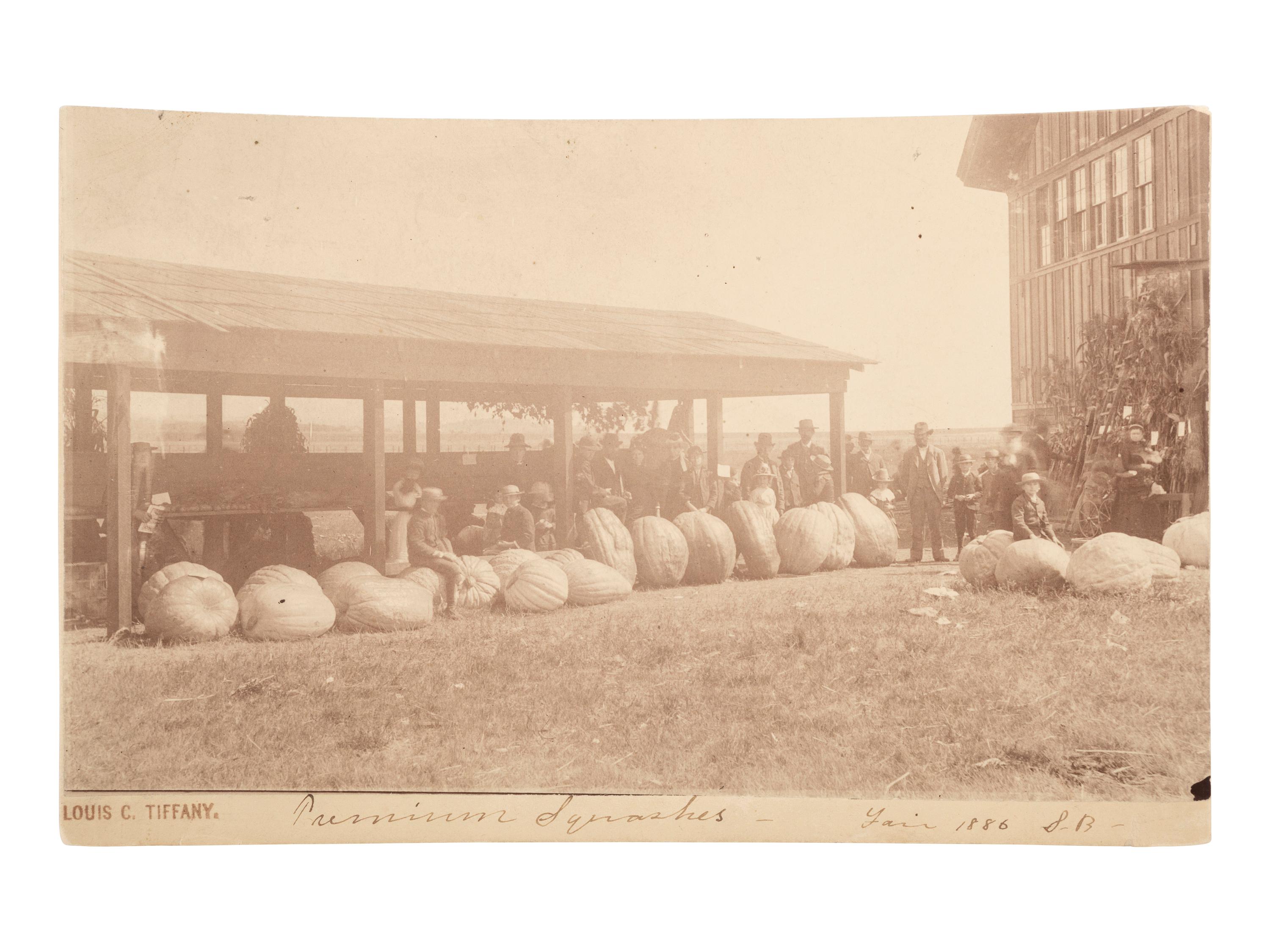 Fairs & Expositions TIFFANY, Louis C. (1848-1933), photographer. Premium Squashes - Fair 1886 S.B. [Sea Bright, NJ], [1886].