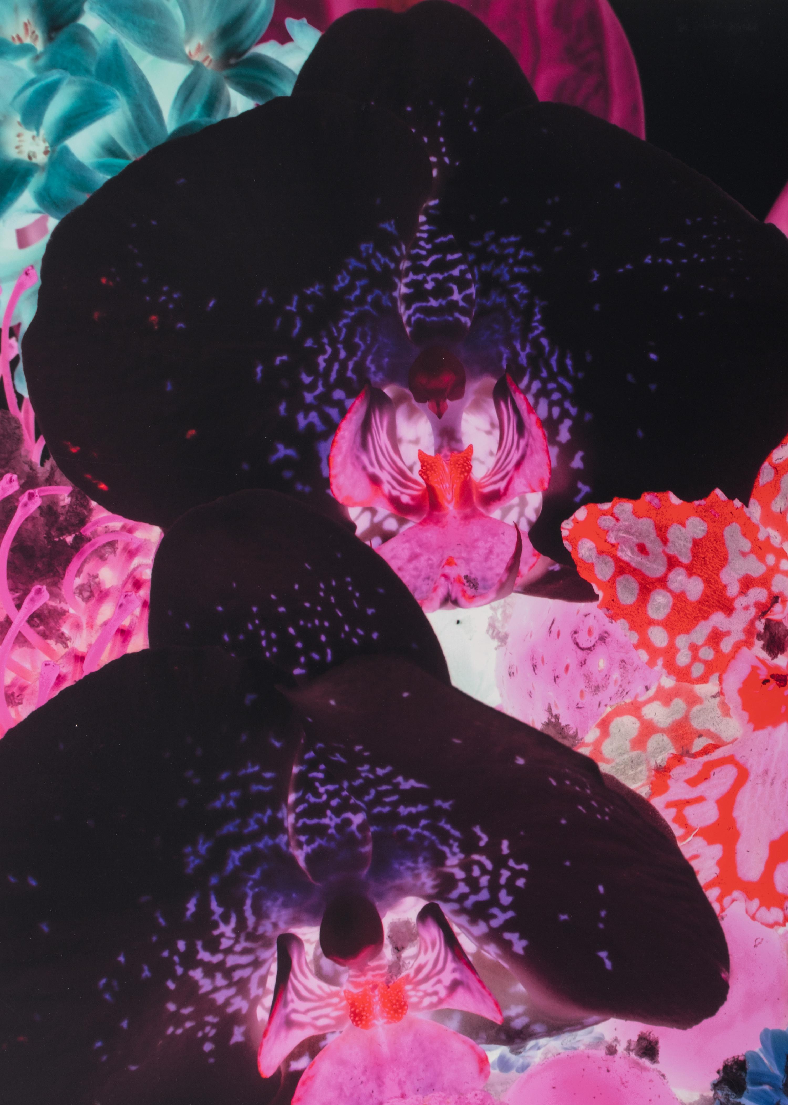 At the Far Edge of the Universe 01, 2010