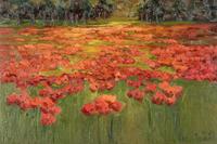 Poppies in Evening, 2012