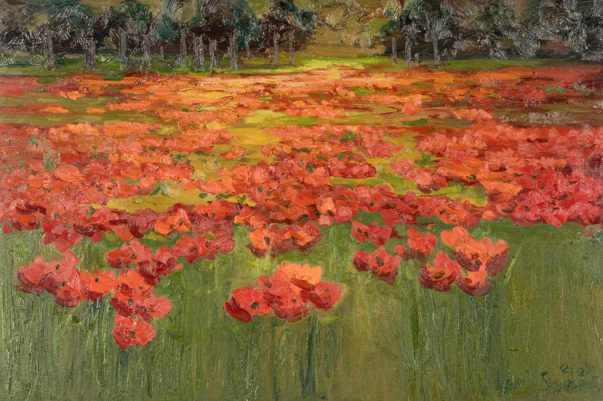 Poppies in Evening, 2012
