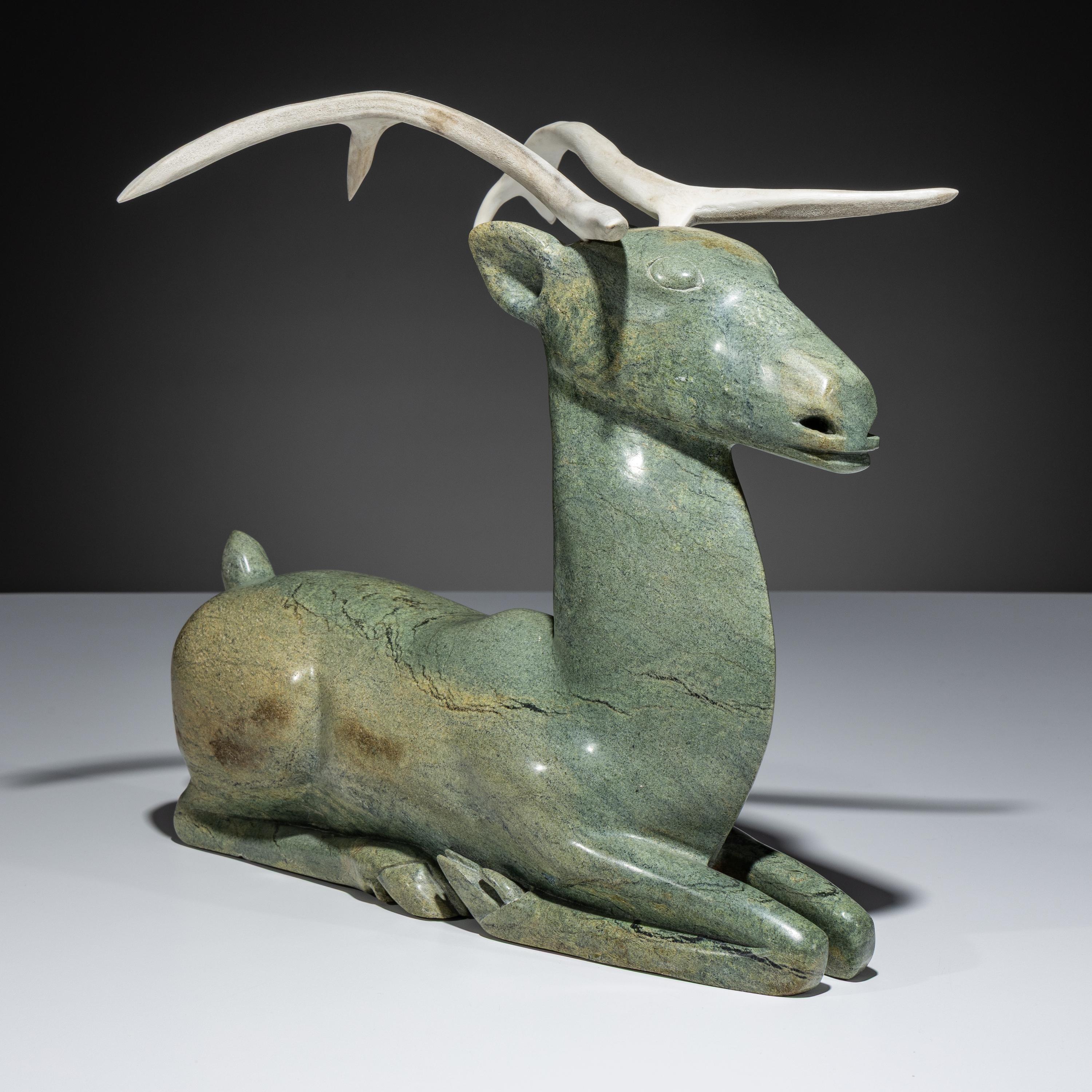 Caribou