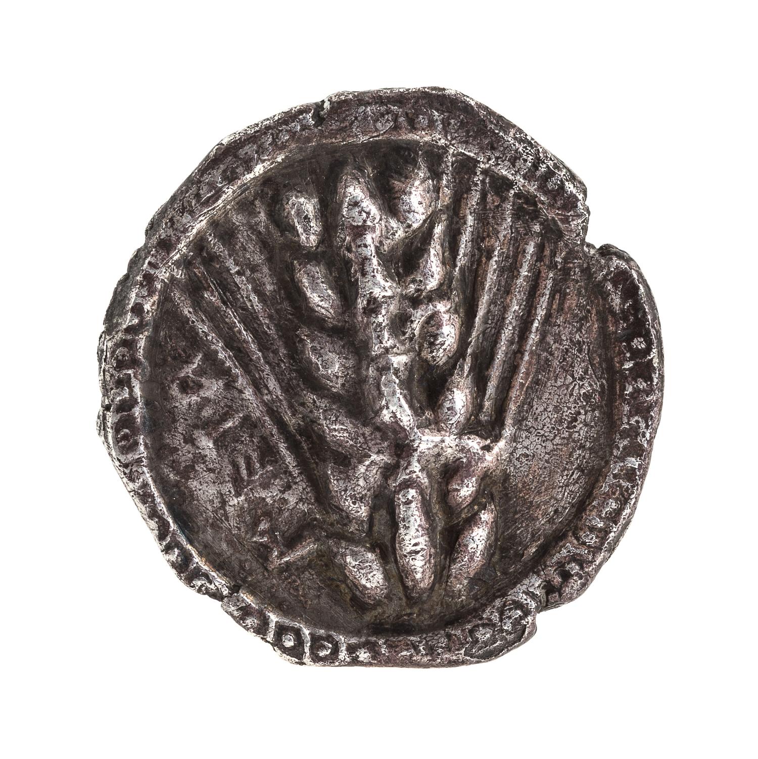 Lucania, Metapontum (circa 480 BCE), Silver Stater — Silver Stater