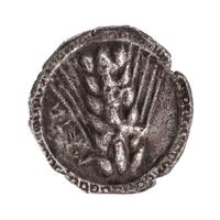 Lucania, Metapontum (circa 480 BCE), Silver Stater — Silver Stater