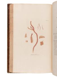 HOOKER, William Jackson, Sir (1785-1865). British Jungermanniae. Being a history and description, with coloured figures, of each species of the genus, and microscopical analyses of the parts. London: Longman, Hurst, Rees, Orme, and Brown, [1812]-1816.