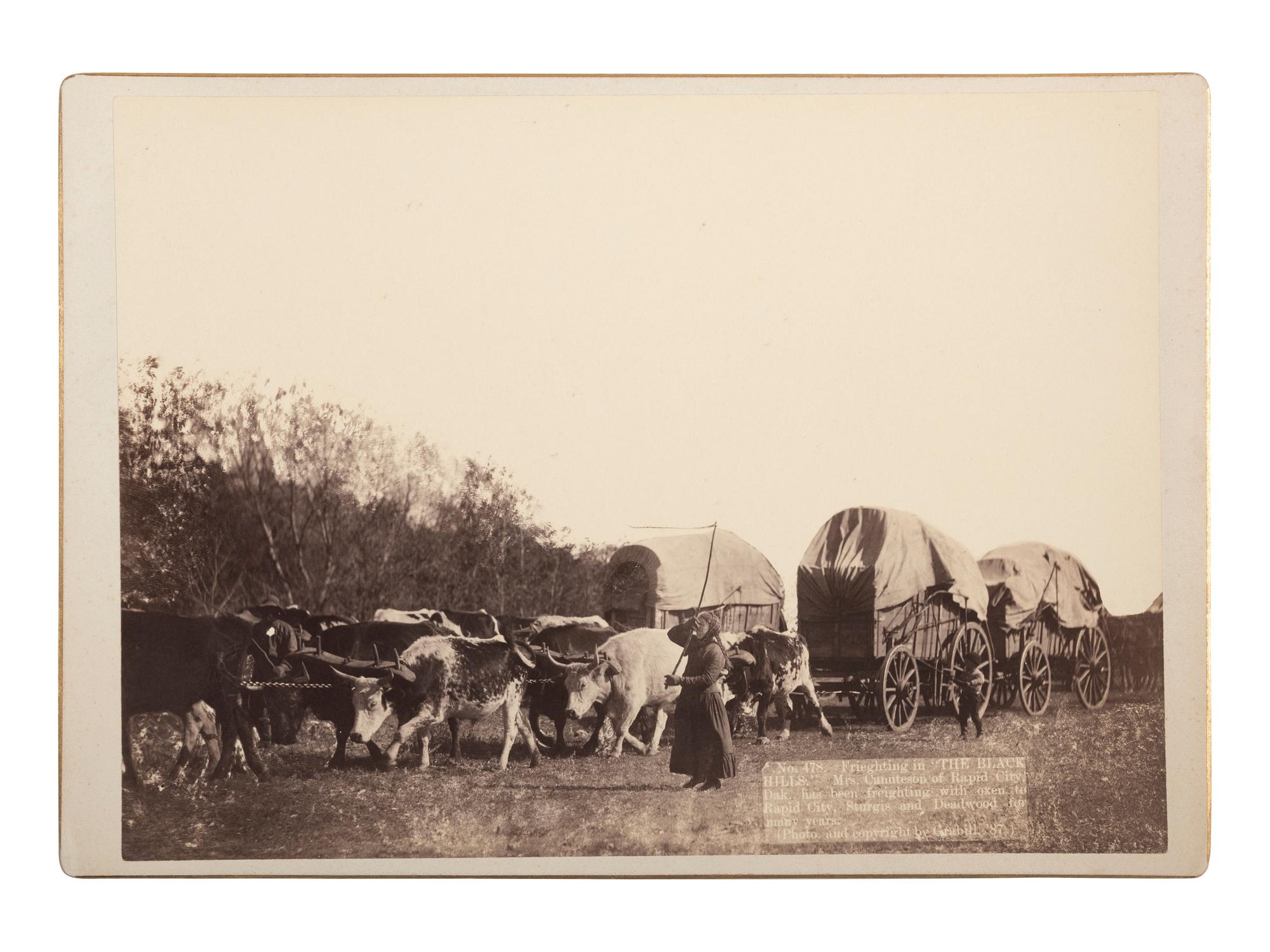 [WESTERN AMERICANA]. GRABILL, John C.H. (1849-1903), photographer. Freighting in "The Black Hills." Mrs. Canuteson of Rapid City, Dak. has been freighting with oxen to Rapid City, Sturgis and Deadwood for many years. [South Dakota], 1887.