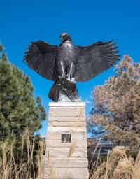 American Eagle , edition 5/5