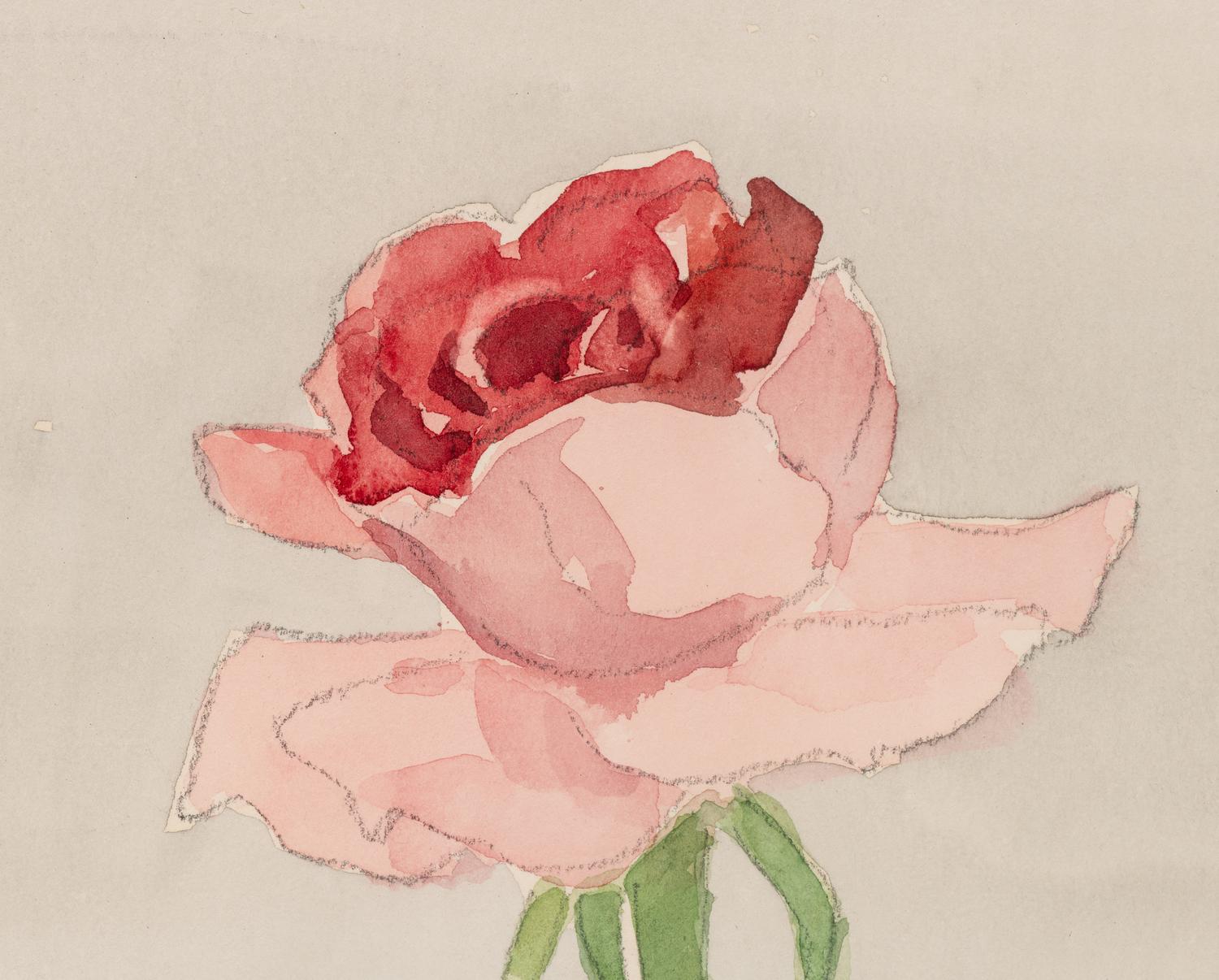 Pink Rose on Grey Ground