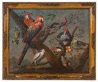 Parrots and Other Birds Perched on a Tree , 1709