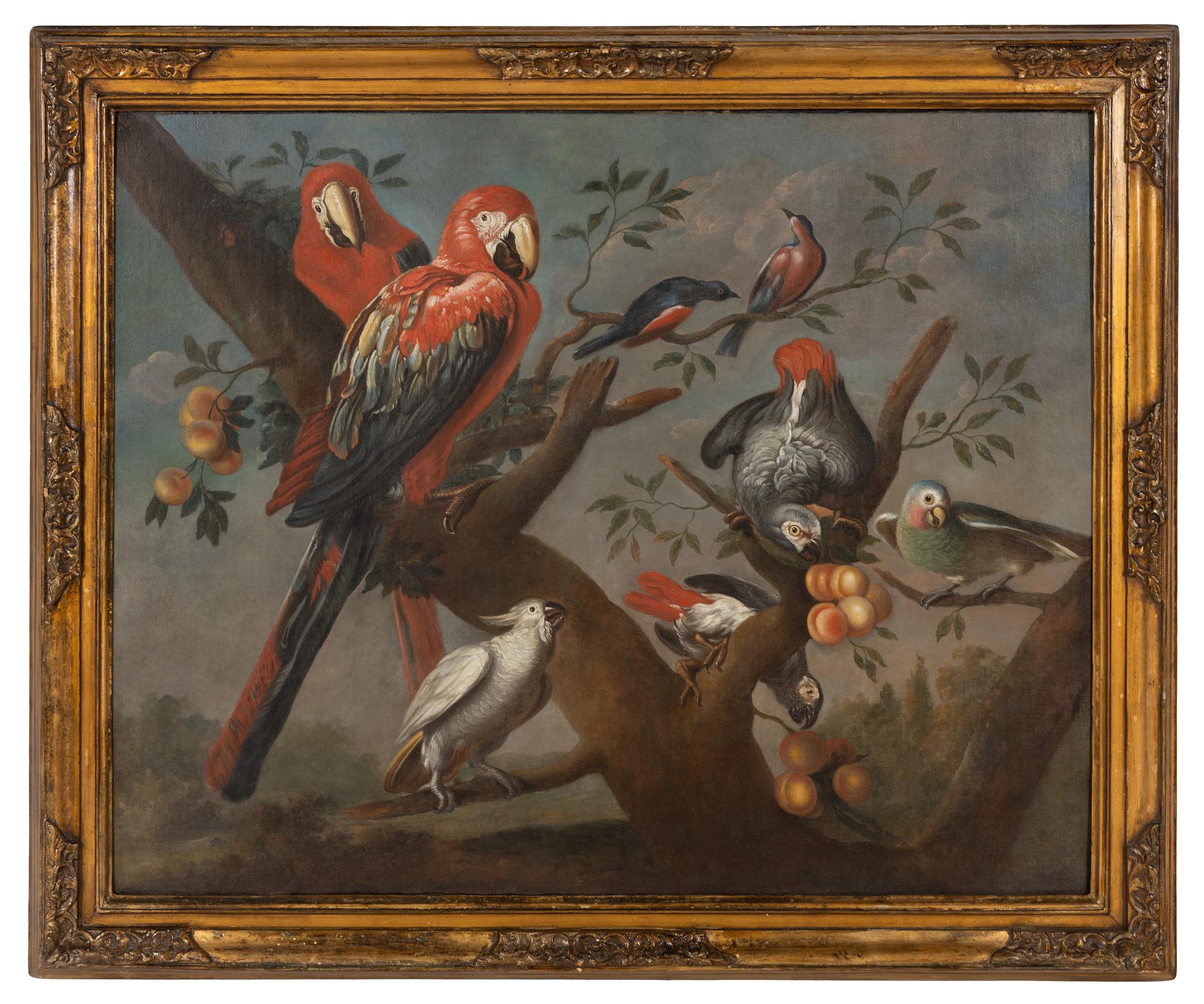 Parrots and Other Birds Perched on a Tree , 1709