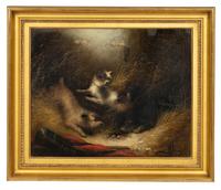 Terriers Ratting
