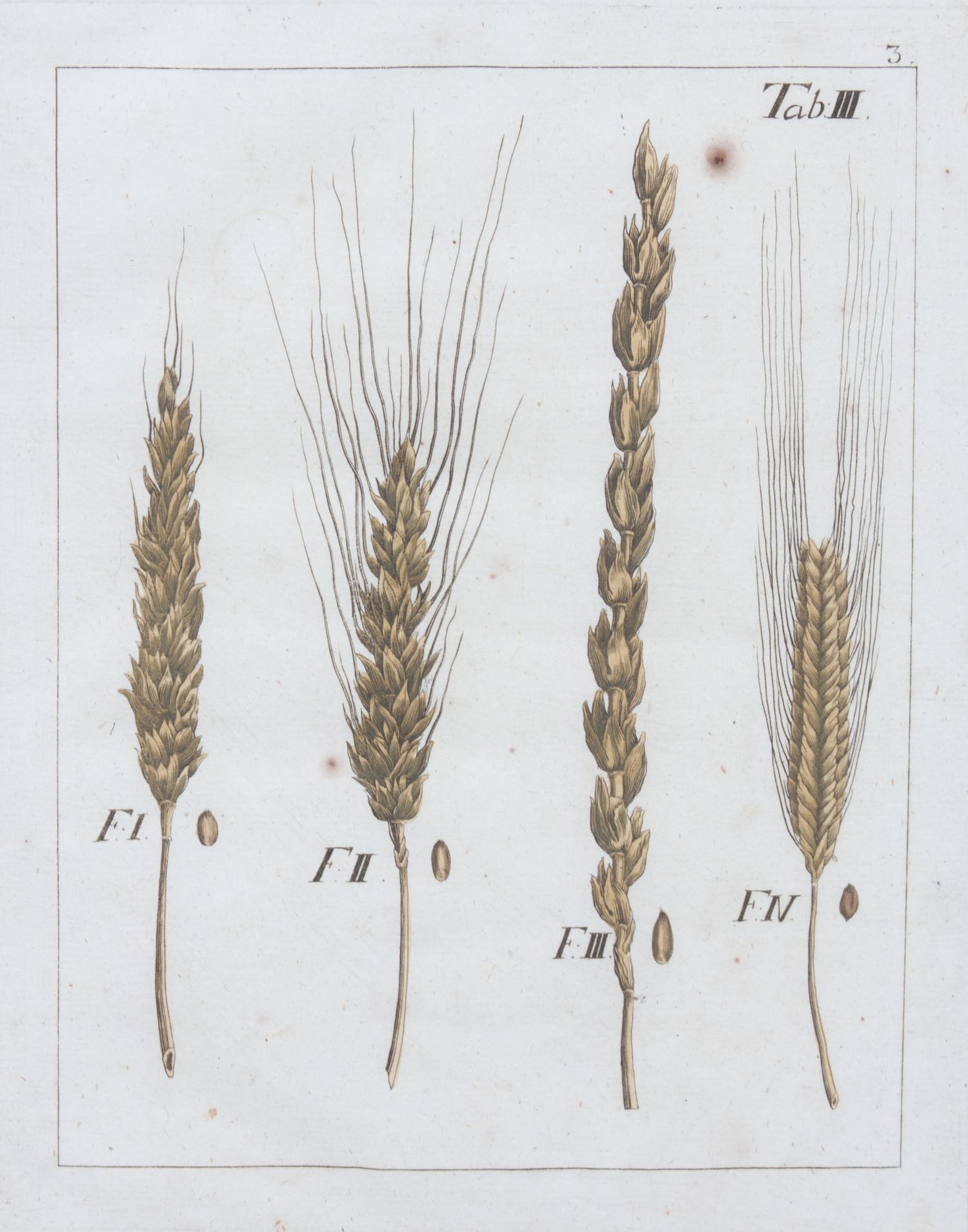 A Collection of Five Agricultural Prints Height of largest frame 21 1/2 x width 17 3/4 inches.