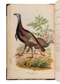 WILSON, Alexander (1766-1813) and Charles Lucien BONAPARTE (1803-1857). American Ornithology; or, The Natural History of the Birds of the United States . London: Whittaker, Treacher & Arnot, 1832.