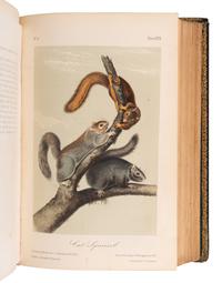 AUDUBON, John James (1785-1851) and John BACHMAN (1790-1874). The Quadrupeds of North America . New York: V. G. Audubon, 1849-1851-1854.