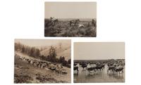 [WESTERN AMERICANA]. A group of western etchings, prints and photographs, and an 1890 manuscript letter detailing the incredible natural beauty of Wagon Wheel Gap, Colorado.