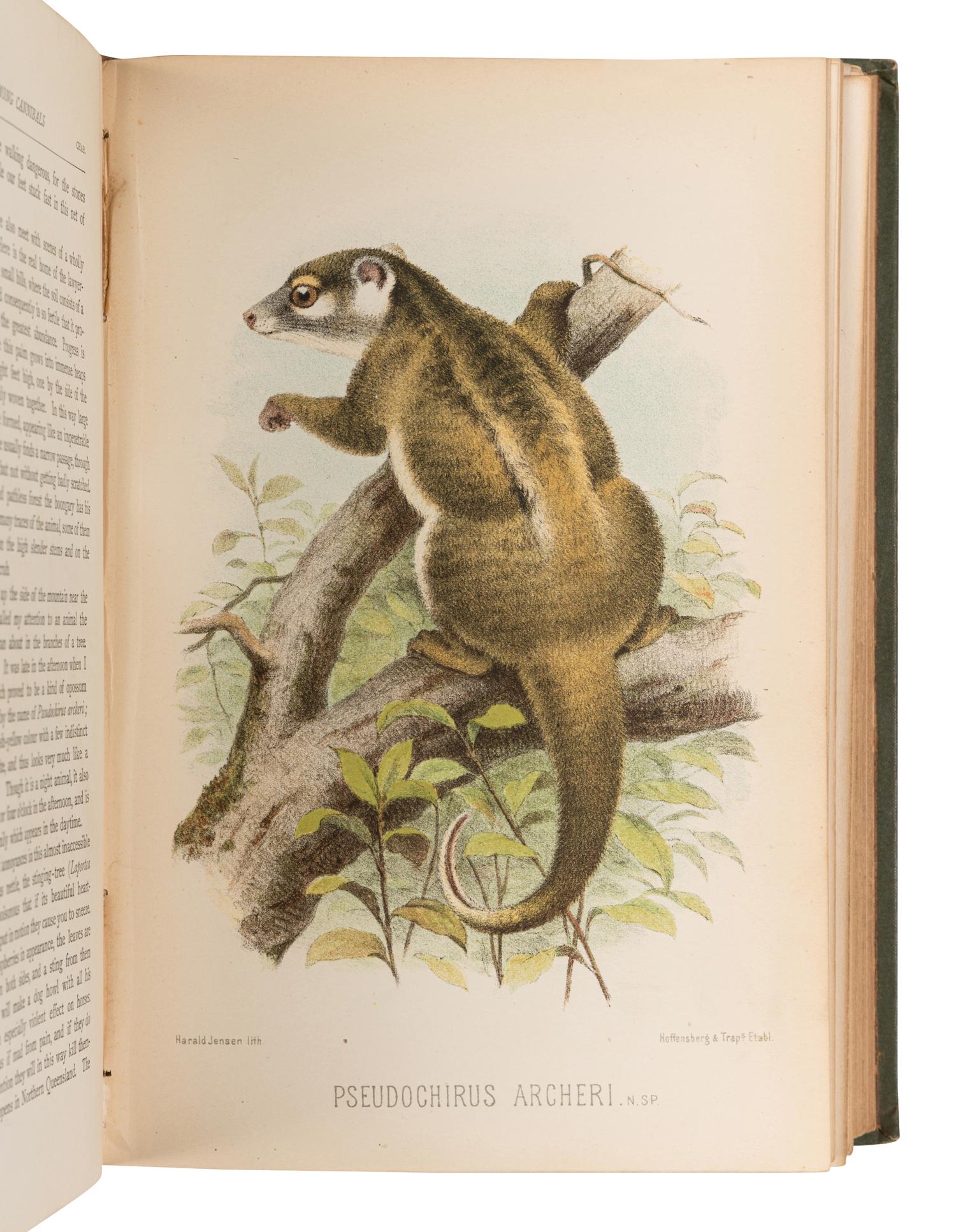 KEATING, William H. (1799-1840). Narrative of an Expedition to the Source of St. Peter's River. London: Geo. B. Whittaker, 1825.