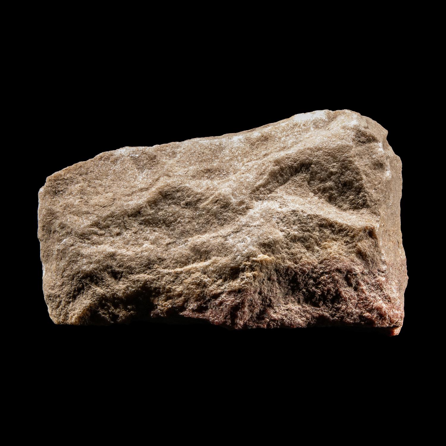 An Egyptian Limestone Fragment with Cartouche of Queen Nefertiti